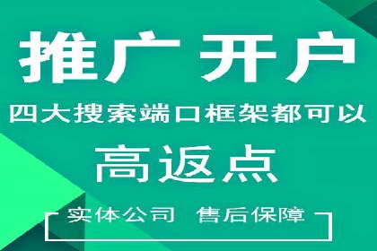 信息流广告的崛起：以某电商平台为例